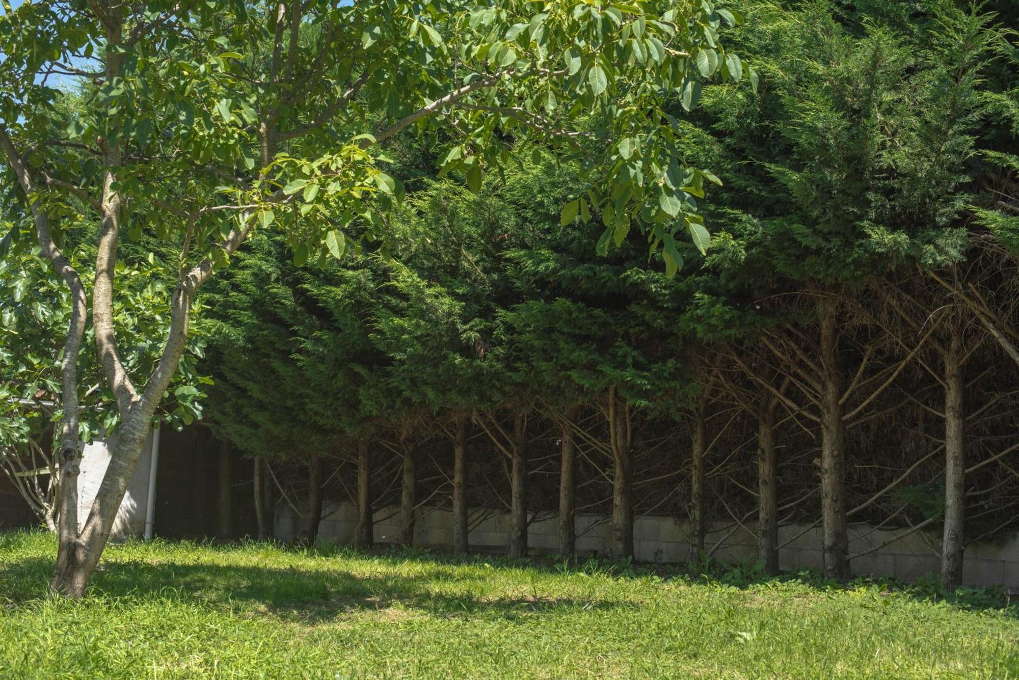 Maison 6 Personnes, Piscine Privee, Jardin Moulins  Zewnętrze zdjęcie